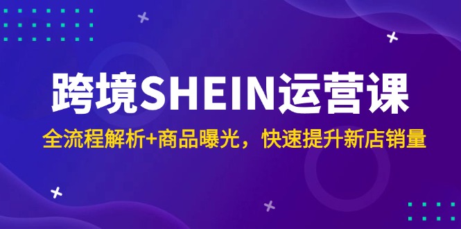 跨境电商SHEIN运营课，全过程分析 产品曝出，快速升级新店开业销售量-太奇网创联盟