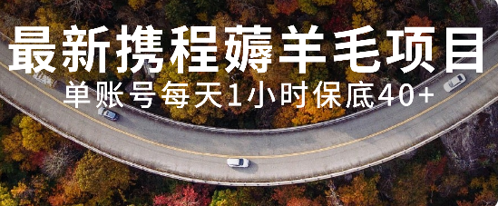 全新携程网撸羊毛新项目，单账户每日1钟头保底收益40 ，可引流矩阵实际操作-暖阳网-优质付费教程和创业项目大全-太奇网创联盟