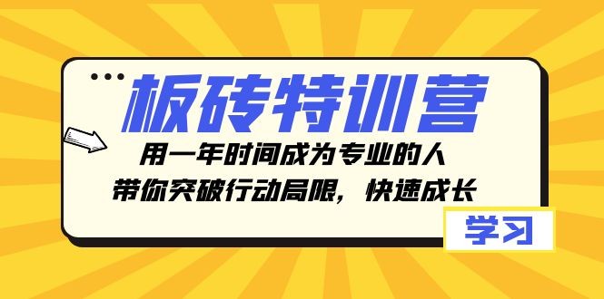 砖头夏令营，用一年时间变成专业人，陪你突破行动局限性，快速增长-暖阳网-优质付费教程和创业项目大全-太奇网创联盟