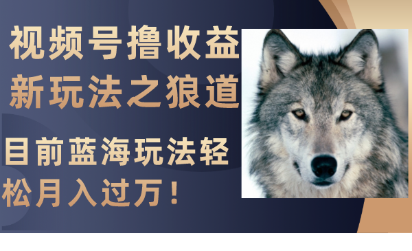微信视频号撸盈利新模式之狼性法则，现阶段瀚海游戏玩法轻轻松松月入了万！-暖阳网-优质付费教程和创业项目大全-太奇网创联盟