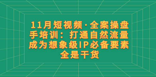 11月短视频·全案操盘手培训：打通自然流量 成为想象级IP必备要素 全是干货-暖阳网-优质付费教程和创业项目大全-太奇网创联盟