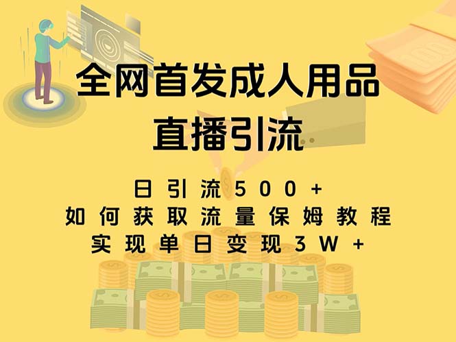最新全网独创首发，成人用品直播引流获客暴力玩法，单日变现3w保姆级教程-暖阳网-优质付费教程和创业项目大全-太奇网创联盟