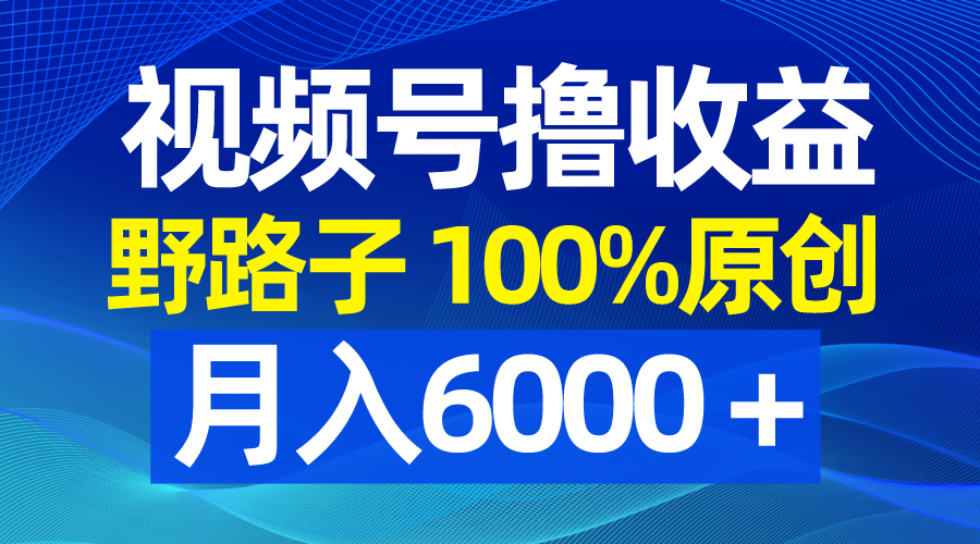 微信视频号歪门邪道撸盈利，100%原创设计，一条条爆品，月收入6000＋-太奇网创联盟
