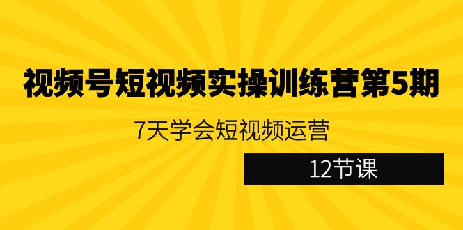 微信视频号小视频实操训练营第5期：7天懂得自媒体运营-太奇网创联盟