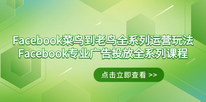 Facebook-小白到老手系列产品经营游戏玩法 Facebook-技术专业广告营销全主题课程-太奇网创联盟