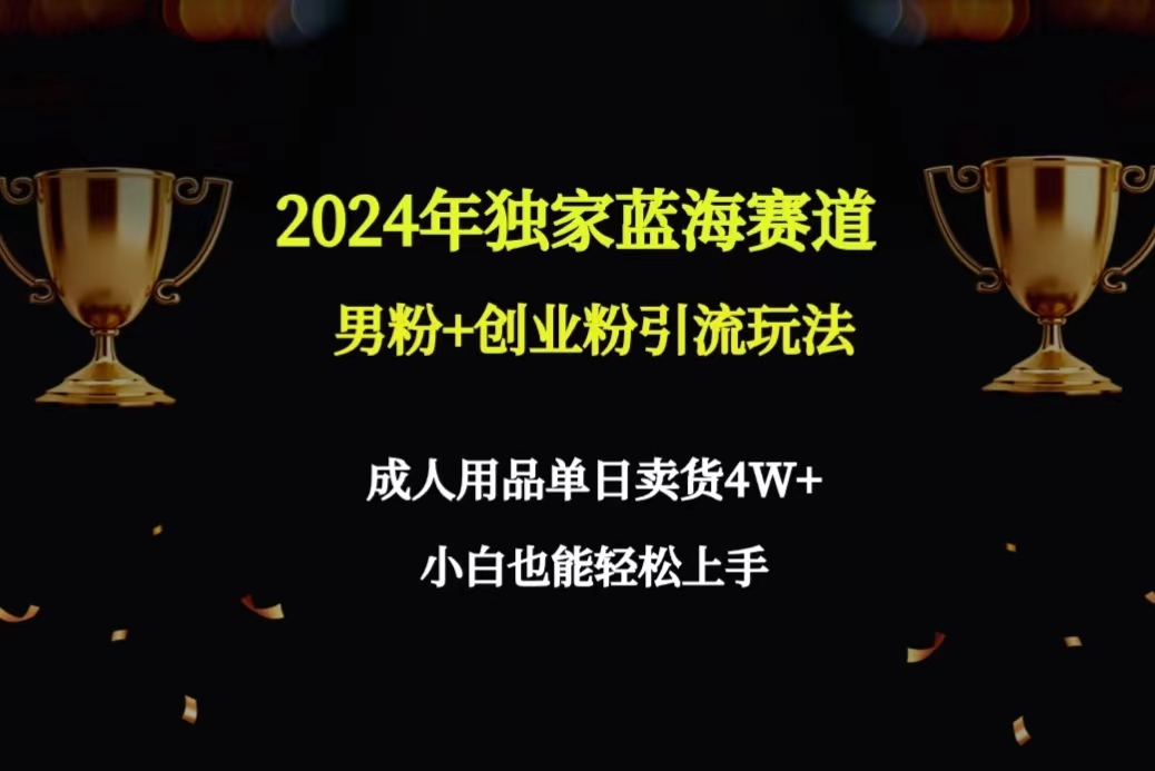 2024年独家代理瀚海跑道粉丝 自主创业粉引流方法游戏玩法，两性用品单日卖东西4W 家庭保姆实例教程-太奇网创联盟