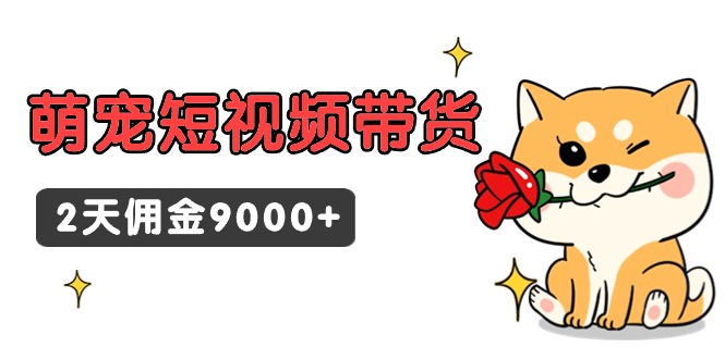 东哲日记·萌宝短视频卖货，2天提成9000-太奇网创联盟