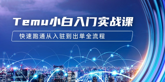 Temu小白入门实战课：跨境拼多多电商培训 快速跑通从入驻到出单全流程-12节-太奇网创联盟