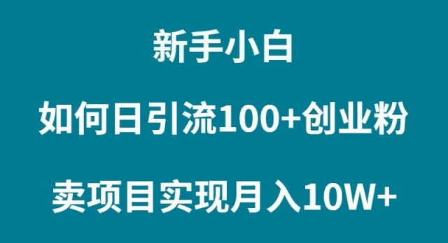 新手入门怎样通过卖项目完成月入10W-太奇网创联盟
