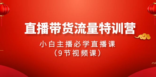 2024直播卖货总流量夏令营，新手网络主播必会视频课堂-太奇网创联盟