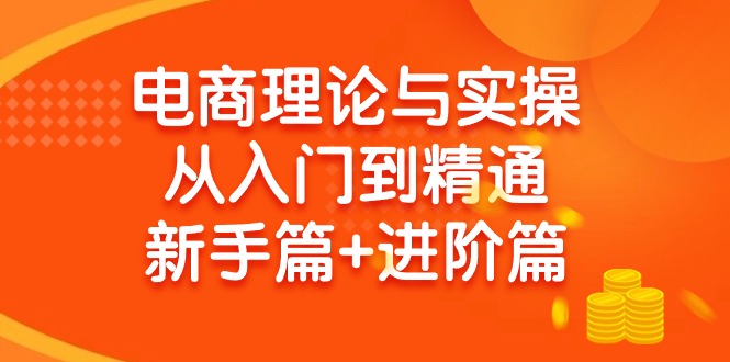 电子商务理论和实际操作实用教程：抖音小店 淘宝 多多的，初学者篇 实战篇-太奇网创联盟