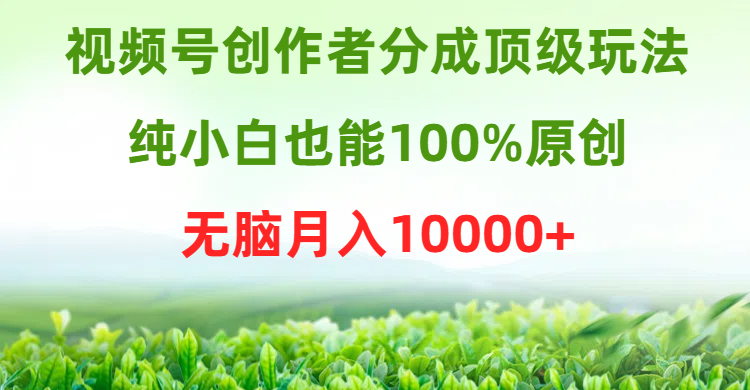 微信视频号原创者分为顶尖游戏玩法，纯小白也可以100%原创设计，没脑子月收入10000-太奇网创联盟