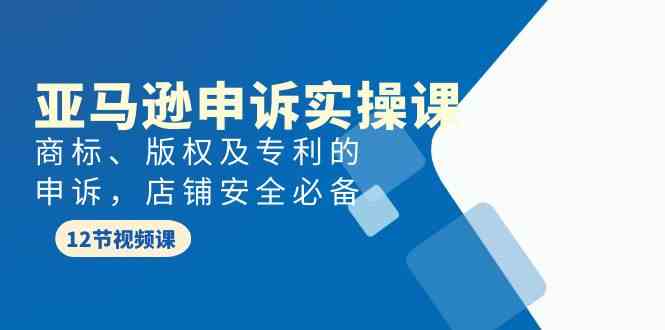 亚马逊-申诉实战课，​商标、版权及专利的申诉，店铺安全必备-太奇网创联盟