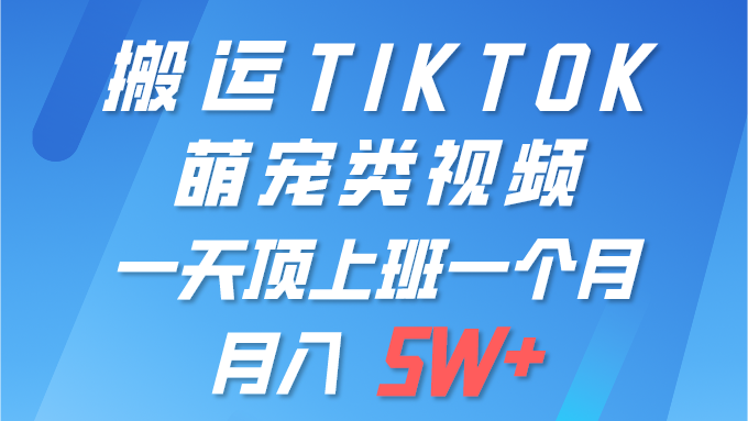 一键运送TIKTOK萌宝类视频 一部手机即可操作 所有平台都可公布 轻轻松松月入5W-太奇网创联盟