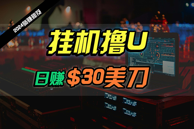 日赚30美金，2024全新国外放置挂机撸U内部结构新项目，全过程无人化，可大批量变大-太奇网创联盟