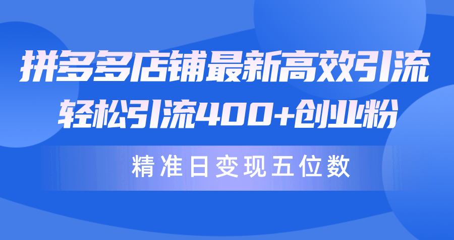拼多多商家全新高效率引流术，轻轻松松引流方法400 自主创业粉，精确日转现五位数！-太奇网创联盟