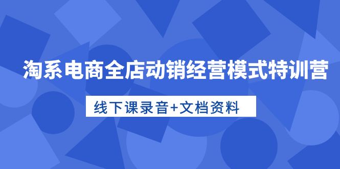 淘宝电子商务全店动销运营模式夏令营，面授课音频 档案文件-太奇网创联盟
