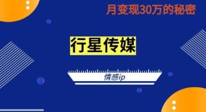 2024抖音情感ip项目单月变现30w的秘密全新蓝海赛道-太奇网创联盟