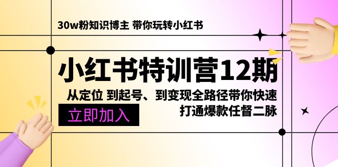 小红书的夏令营12期：从精准定位 到养号、到转现全路径陪你迅速连通爆品任督二脉-太奇网创联盟