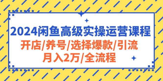 2024闲鱼平台高端实际操作营销课程：开实体店/起号/挑选爆品/引流方法/月入2万/全过程-太奇网创联盟