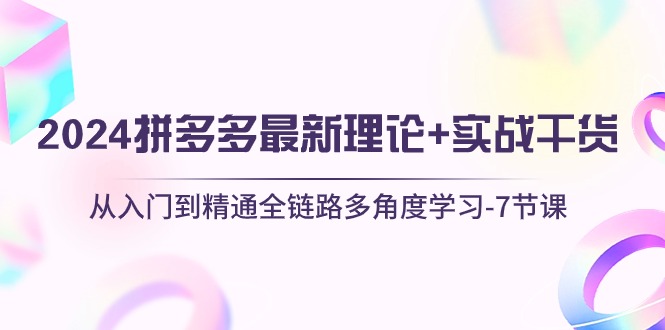 2024拼多多 最新理论+实战干货，从入门到精通全链路多角度学习-7节课-太奇网创联盟