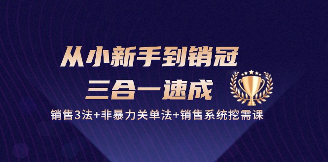 从小新手到销冠 三合一速成：销售3法+非暴力关单法+销售系统挖需课 (27节)-太奇网创联盟
