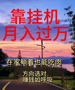靠挂机，日入1000+，躺着也能吃肉，电脑手机都可挂-太奇网创联盟
