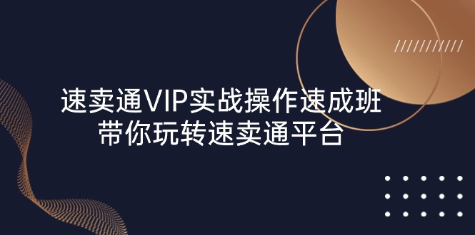 速卖通 VIP实战操作-速成班，带你玩转速卖通平台-太奇网创联盟