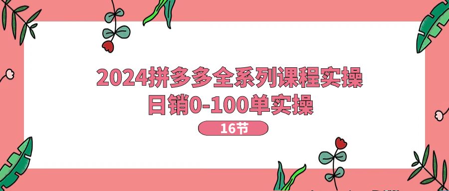 2024拼多多全系列课程实操，日销0-100单实操【16节课】-太奇网创联盟