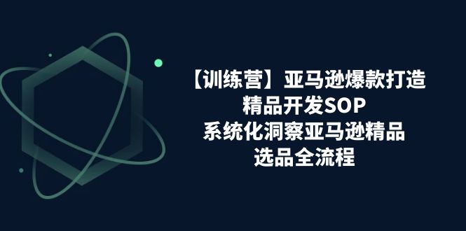 【训练营】亚马逊爆款打造之精品开发SOP，系统化洞察亚马逊精品选品全流程-太奇网创联盟