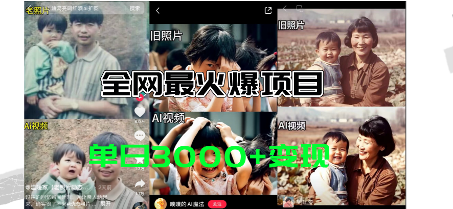 各大网站爆红的AI让老照片动起来实例教程，借势营销日赚3000 ，含有完全免费专用工具一键…-太奇网创联盟