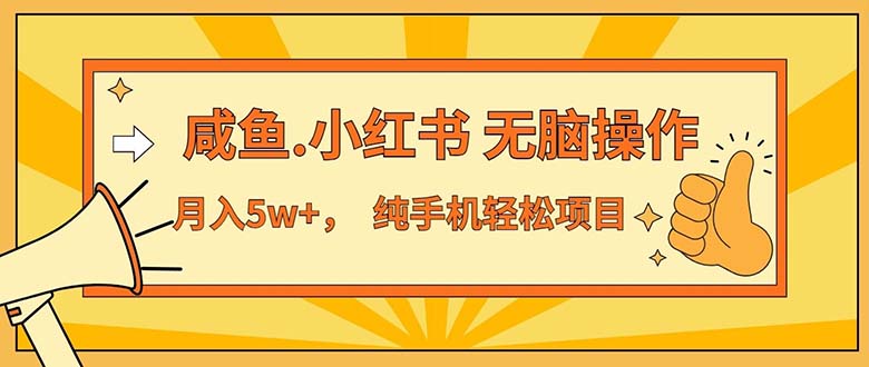 2024最赚钱的项目，咸鱼，小红书无脑操作，每单利润500+，轻松月入5万+…-太奇网创联盟