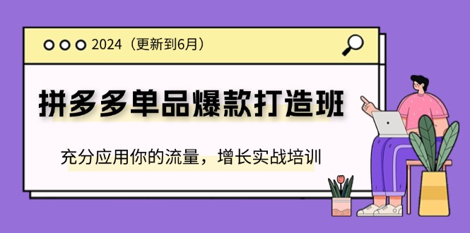 2024拼多多平台-品类爆款打造班(升级6月)，充分应用你的流量，提高实战培训-太奇网创联盟