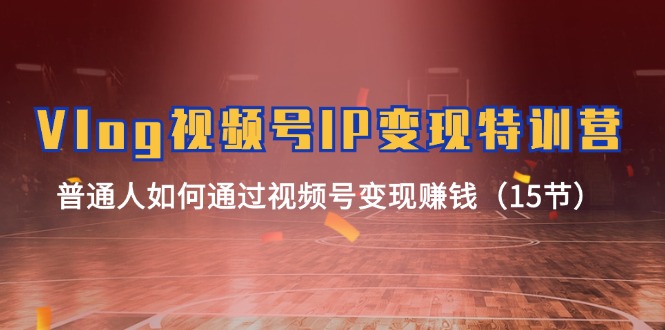 Vlog 视频号IP变现特训营，普通人如何通过视频号变现赚钱-太奇网创联盟