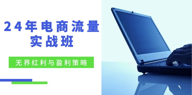 24年电商流量实战班：无界 红利与盈利策略，终极提升/关键词优化/精准…-太奇网创联盟