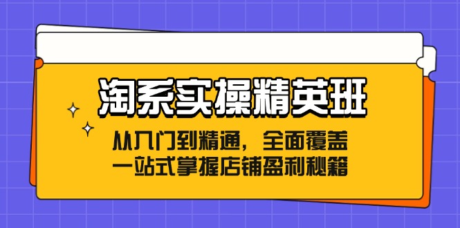 淘系实操精英班：从入门到精通，全面覆盖，一站式掌握店铺盈利秘籍-太奇网创联盟