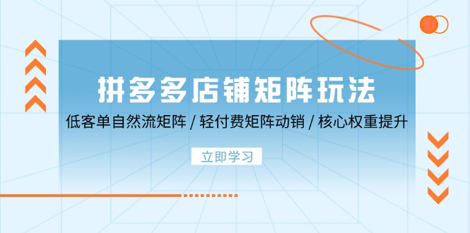 拼多多店铺矩阵玩法：低客单自然流矩阵 / 轻付费矩阵 动销 / 核心权重提升-太奇网创联盟