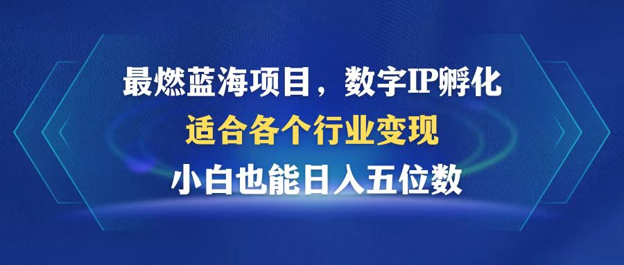 超燃蓝海项目  数据IP卵化  适合各个领域转现  新手也可以日入5个数-太奇网创联盟