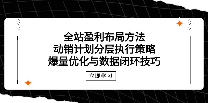 整站赢利合理布局方式：促销方案分层次执行策略，爆量优化与数据闭环方法-太奇网创联盟