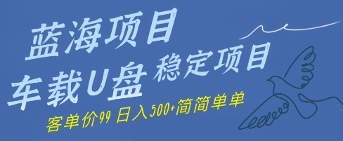 蓝海项目车载式U盘平稳新项目，赚的便是信息不对称，客单量99，日入多张很简单-太奇网创联盟