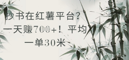 抄写在小红书服务平台？平均一单30米，一天盈利多张！-太奇网创联盟