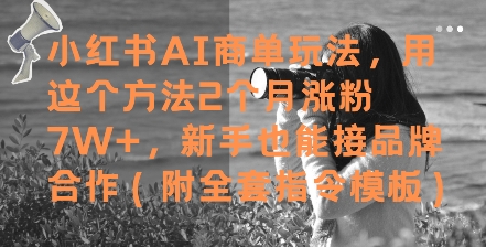 小红书的AI商单游戏玩法，用这种方法2个月增粉7W ，初学者也能接品牌合作(附整套命令模版)-太奇网创联盟